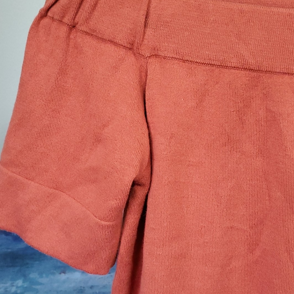 The Limited burnt orange, off shoulder top - Picture 2 of 5